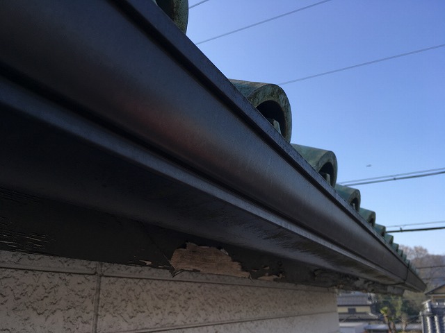 雨樋周囲の状況確認